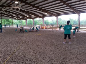 Spring's new arena fence