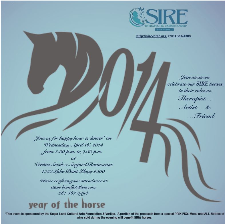 Year of the Horse image
