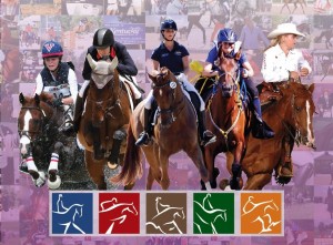 NAJYRC 2014 logo