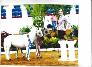 The halter obstacle class for 13-18 year-old exhibitors had 40 horses. Here we see World Champion Hogan and Reserve World Champion Rose.