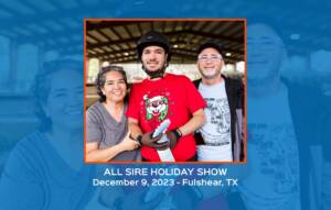 All SIRE Holiday Show