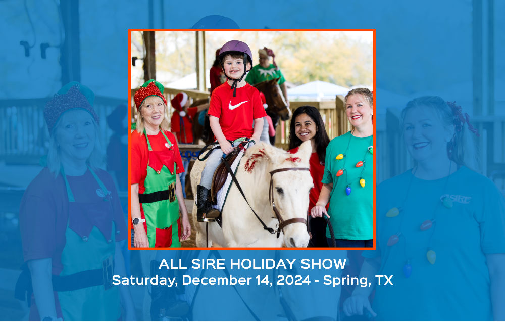 All SIRE Holiday Show